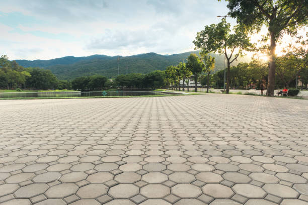Best Concrete Paver Driveway  in Wilkinson Heights, SC