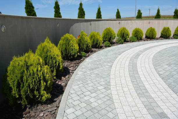 Paver Driveway Replacement in Wilkinson Heights, SC