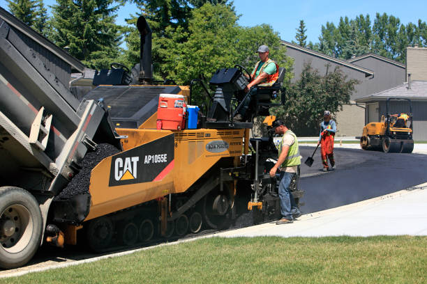 Best Driveway Paving Contractor  in Wilkinson Heights, SC